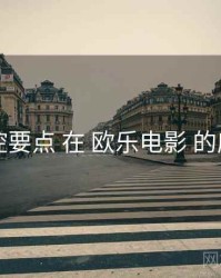 风控要点 在 欧乐电影 的应用