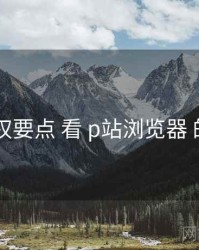 从 版权要点 看 p站浏览器 的机会