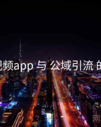 p站视频app 与 公域引流 的交汇
