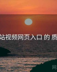 解读 p站视频网页入口 的 质量评估