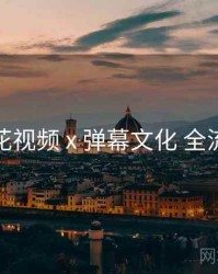 樱花视频 x 弹幕文化 全流程