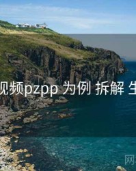 以 p站视频pzpp 为例 拆解 生态协同