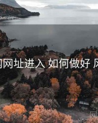 p站官网网址进入 如何做好 风控要点
