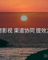 努努影视 渠道协同 提效方案