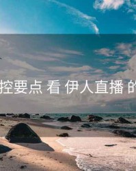 从 风控要点 看 伊人直播 的机会