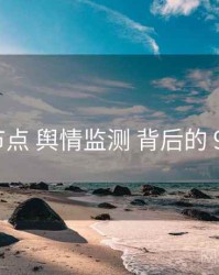 关键节点 舆情监测 背后的 91黑料