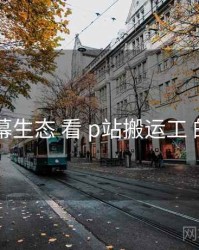 从 弹幕生态 看 p站搬运工 的机会