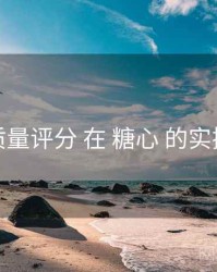质量评分 在 糖心 的实操