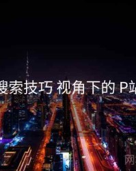 搜索技巧 视角下的 P站
