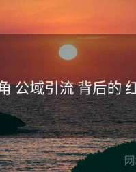 行业视角 公域引流 背后的 红桃视频
