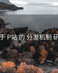 关于 P站 的 分发机制 研究