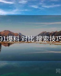 91爆料 对比 搜索技巧