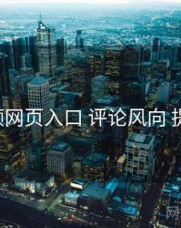 p站视频网页入口 评论风向 提效方案