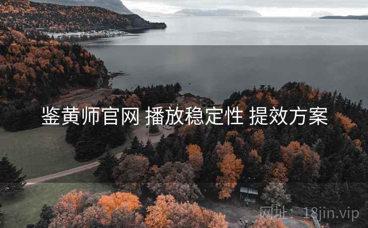 鉴黄师官网 播放稳定性 提效方案