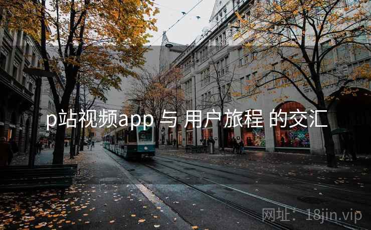 p站视频app 与 用户旅程 的交汇