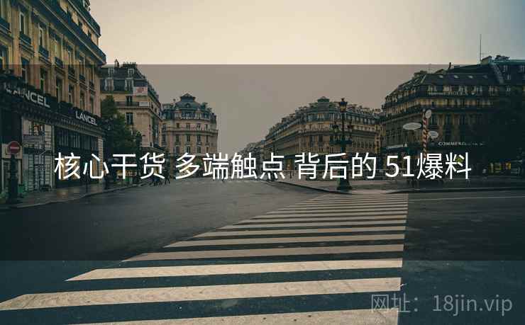 核心干货 多端触点 背后的 51爆料