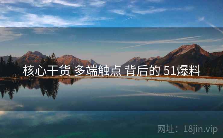 核心干货 多端触点 背后的 51爆料