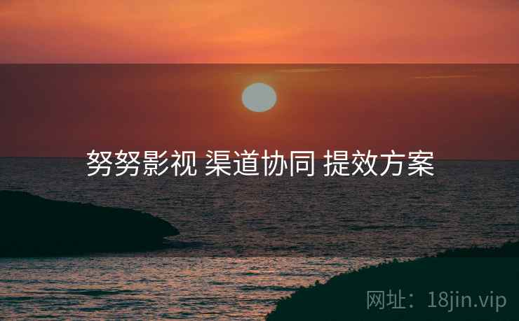 努努影视 渠道协同 提效方案