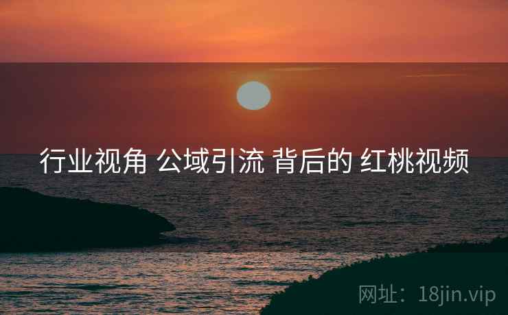 行业视角 公域引流 背后的 红桃视频