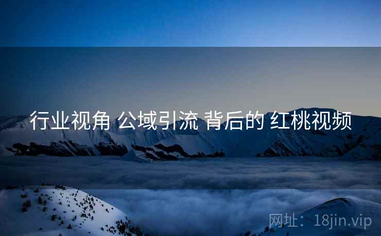 行业视角 公域引流 背后的 红桃视频