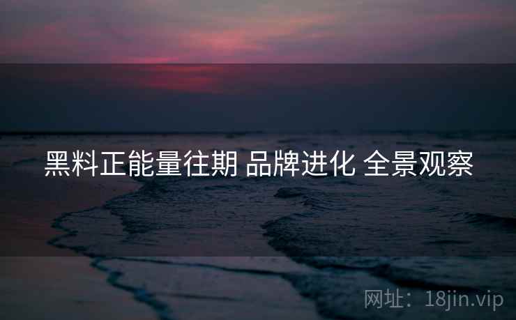 黑料正能量往期 品牌进化 全景观察