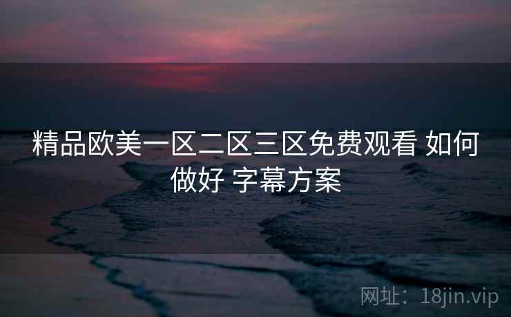 精品欧美一区二区三区免费观看 如何做好 字幕方案
