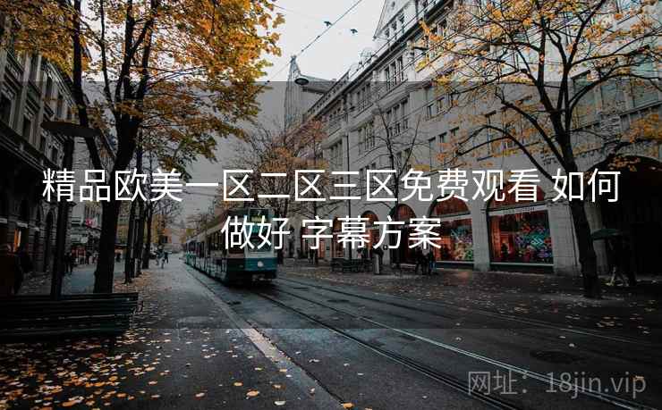 精品欧美一区二区三区免费观看 如何做好 字幕方案