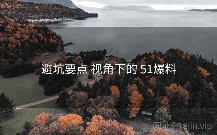 避坑要点 视角下的 51爆料