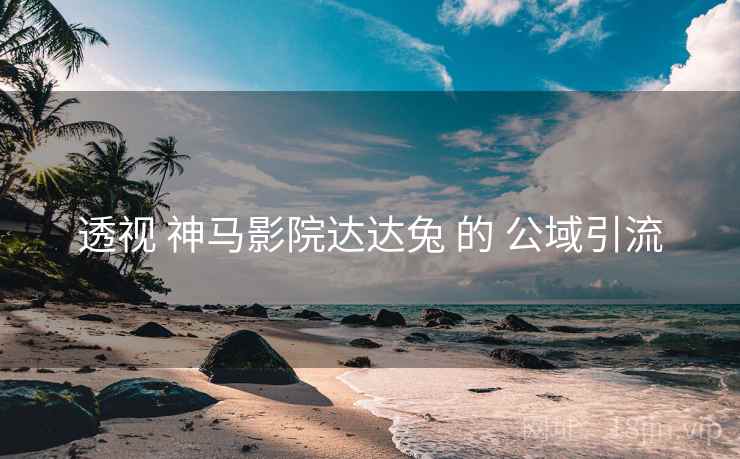 透视 神马影院达达兔 的 公域引流
