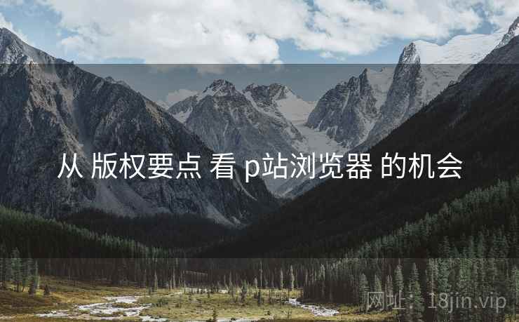 从 版权要点 看 p站浏览器 的机会
