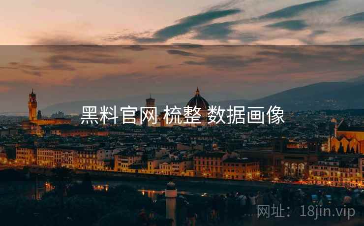 黑料官网 梳整 数据画像