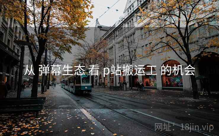 从 弹幕生态 看 p站搬运工 的机会
