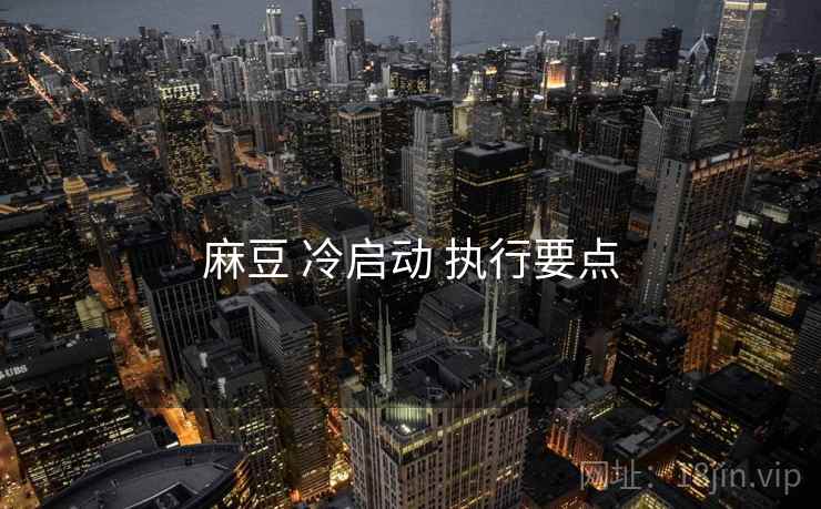麻豆 冷启动 执行要点