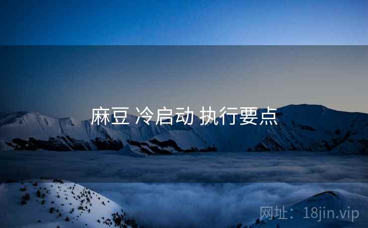 麻豆 冷启动 执行要点