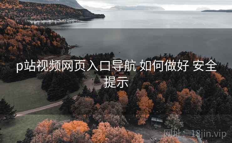 p站视频网页入口导航 如何做好 安全提示