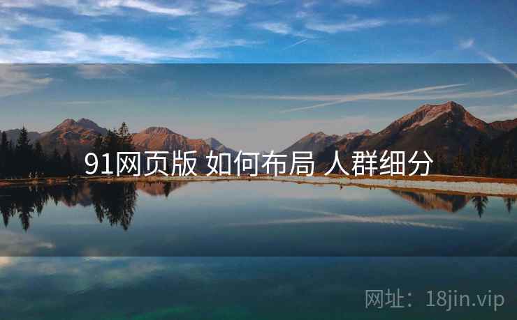 91网页版 如何布局 人群细分