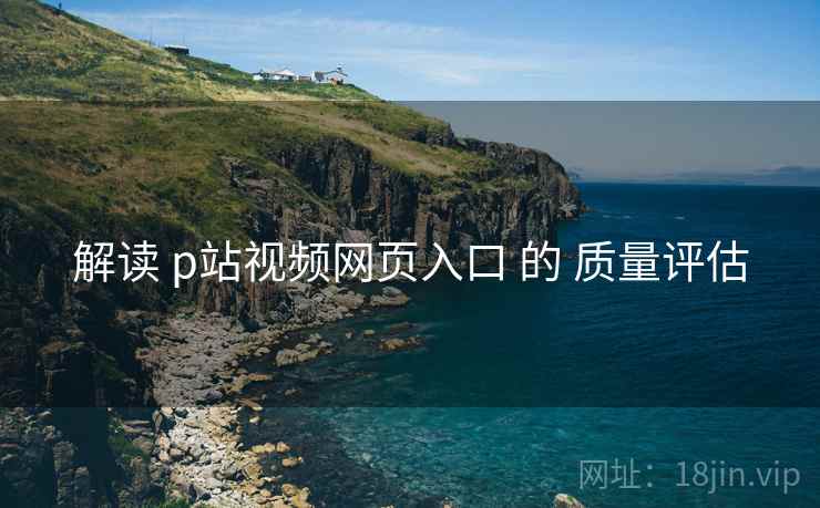 解读 p站视频网页入口 的 质量评估