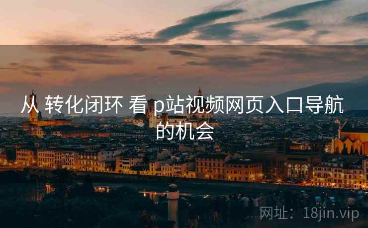 从 转化闭环 看 p站视频网页入口导航 的机会