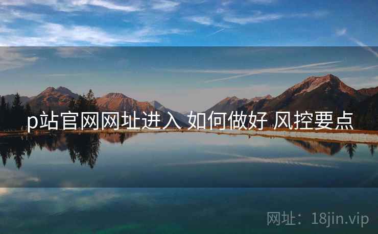 p站官网网址进入 如何做好 风控要点