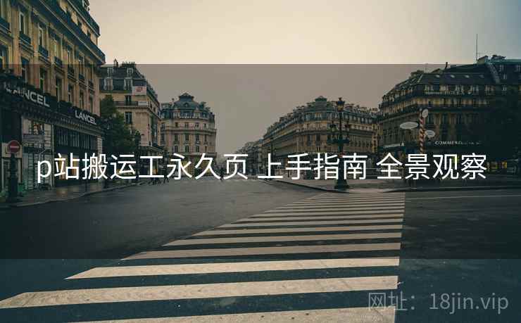 p站搬运工永久页 上手指南 全景观察