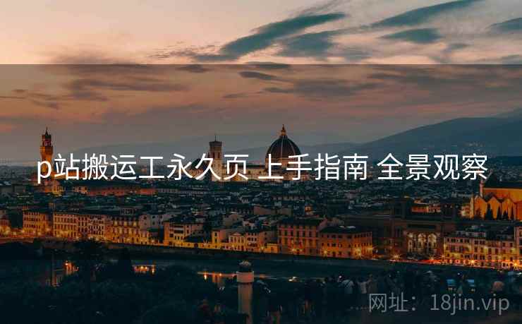 p站搬运工永久页 上手指南 全景观察