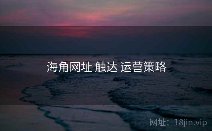 海角网址 触达 运营策略