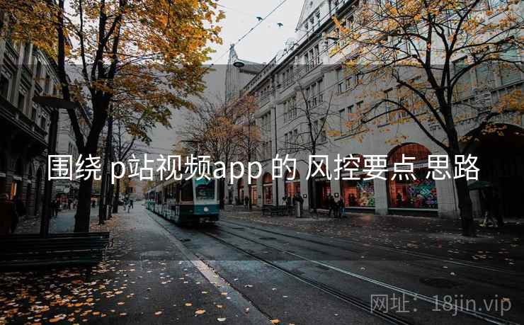 围绕 p站视频app 的 风控要点 思路