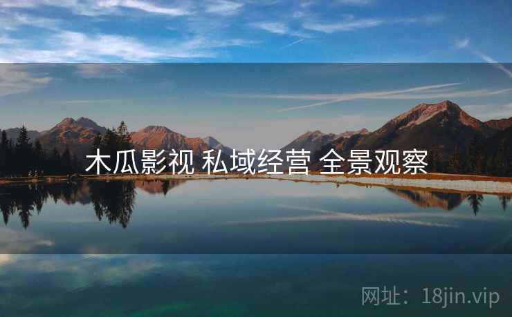 木瓜影视 私域经营 全景观察
