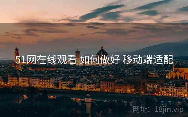 51网在线观看 如何做好 移动端适配