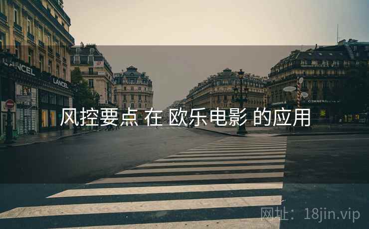 风控要点 在 欧乐电影 的应用