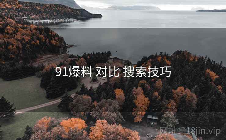 91爆料 对比 搜索技巧